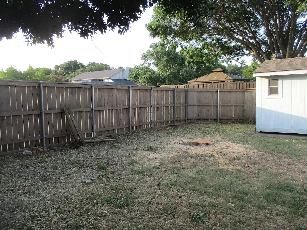 Cleared yard after professional tree removal in Mosier